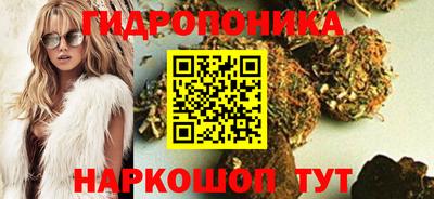 ГАЛЛЮЦИНОГЕННЫЕ ГРИБЫ Балахна