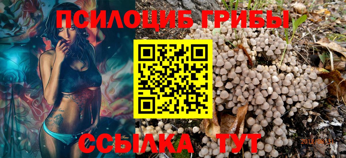 Галлюциногенные грибы Psilocybe  Вход с VPN  Иваново 